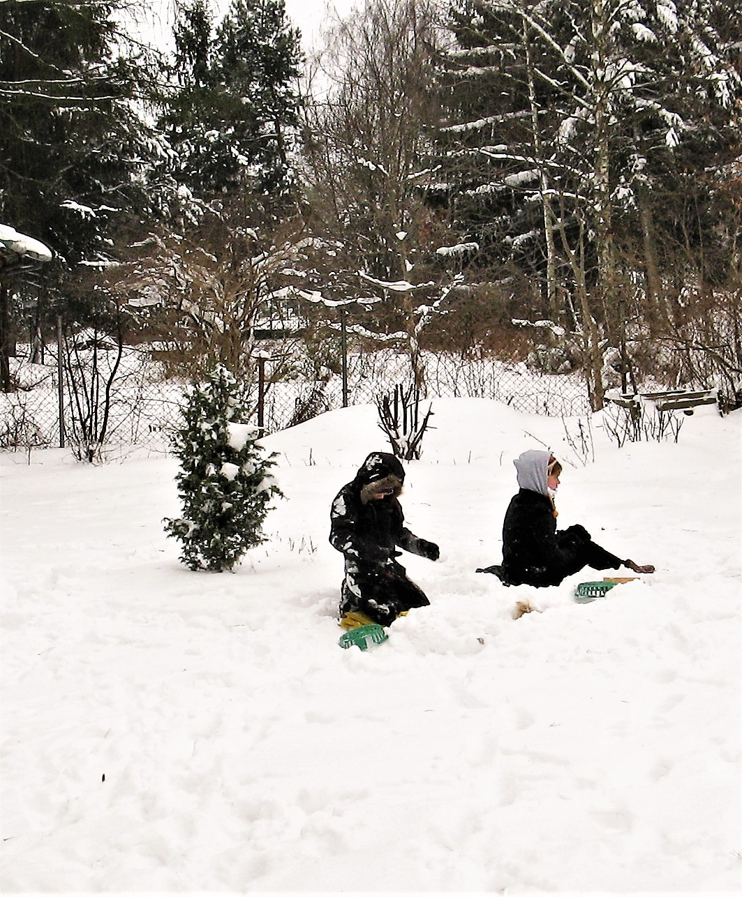 dzieci w śniegu